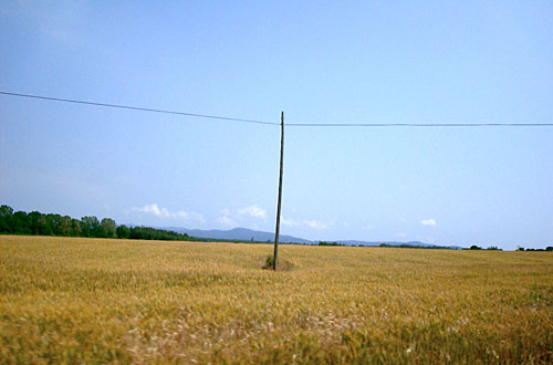 JoanPla bona